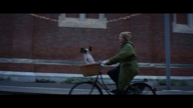 Video Reference: Bicycle, Wheel, Tire, Window, Bicycle handlebar, Cat, Bicycle wheel, Bicycle frame, Bicycles--Equipment and supplies, Bicycle tire