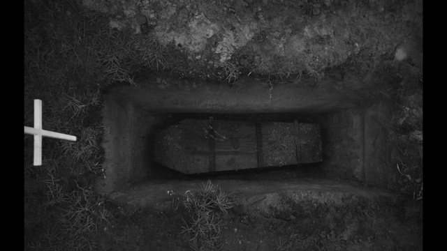 Video Reference: Plant, Window, Grey, Wood, Black-and-white, Style, Flash photography, Wall, Grass, Font