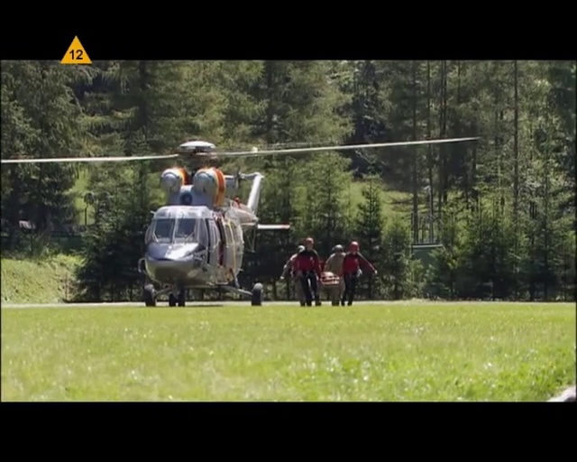 Video Reference: Plant, Aircraft, Tree, Helicopter, Helicopter rotor, Rotorcraft, Grass, Military helicopter, Vehicle, Aviation