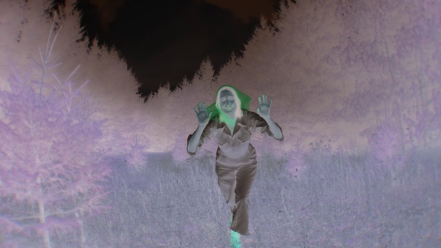 Video Reference: Flash photography, Grass, Art, Tree, Event, People in nature, Freezing, Darkness, Happy, Personal protective equipment