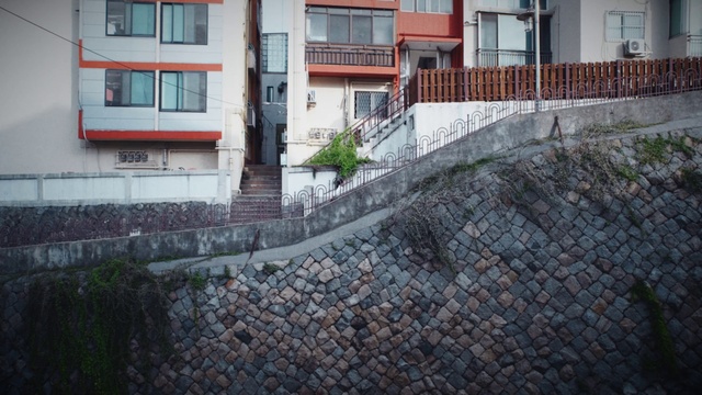 Video Reference: Window, Building, Plant, Urban design, Road surface, Stairs, Facade, City, Road, Slope