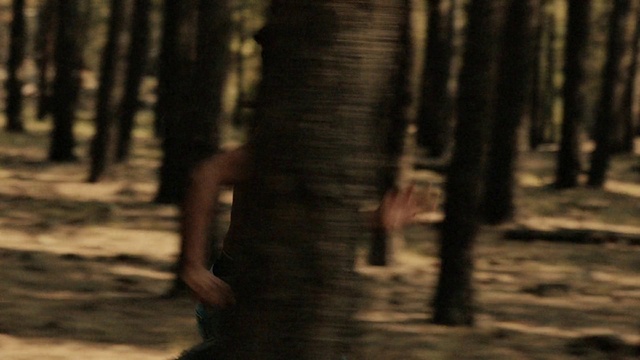 Video Reference: Wood, Trunk, People in nature, Natural landscape, Twig, Grass, Terrestrial plant, Deciduous, Tints and shades, Landscape