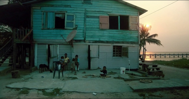 Video Reference: Window, Building, Green, House, Sky, Tree, Door, Tints and shades, Wood, Arecales
