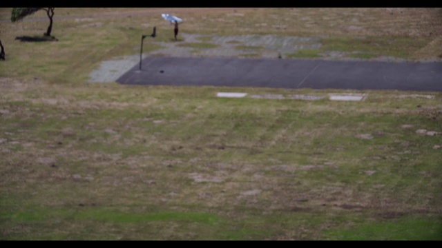 Video Reference: Asphalt, Land lot, Plant, Grass, Road surface, Plain, Landscape, Road, Grassland, Meadow