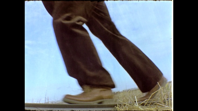 Video Reference: Hand, Leg, People in nature, Human body, Sky, Wood, Gesture, Thigh, Knee, Calf