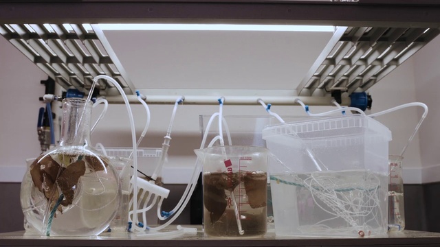 Video Reference: Architecture, Wood, Glass, Electrical wiring, Ceiling, Transparent material, Cable, Wire, Room, Engineering