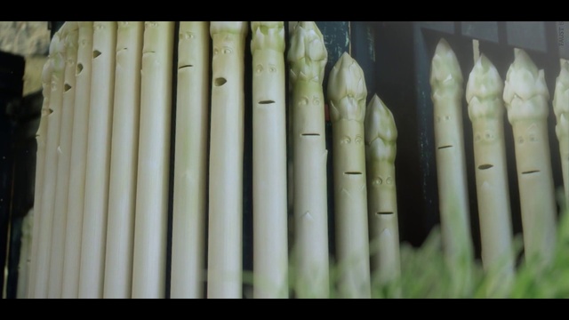 Video Reference: Plant, Grass, Wood, Event, Personal care, Musical instrument
