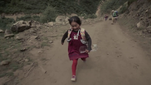 Video Reference: Vertebrate, Mammal, Plant, Travel, Happy, Landscape, Geological phenomenon, Fun, Sand, Recreation