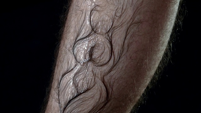 Video Reference: Eye, Human body, Wood, Trunk, Grey, Wood stain, Wrinkle, Hardwood, Trunk, Human leg
