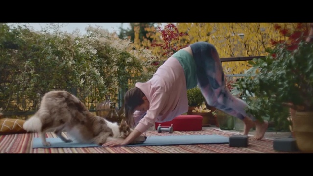 Video Reference: Plant, Tree, Knee, Leisure, Grass, Elbow, Exercise, Balance, Chest, Fun