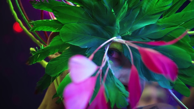 Video Reference: Flower, Plant, Botany, Purple, Organism, Petal, Terrestrial plant, Vegetation, Line, Magenta