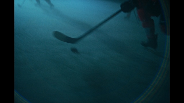 Video Reference: Water, Sky, Blue, Azure, Underwater, Fin, Aqua, Electric blue, Recreation, Cartilaginous fish