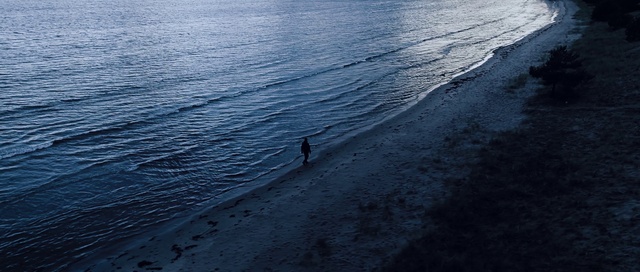 Video Reference: Water, Azure, Wood, Coastal and oceanic landforms, Beach, Dusk, Lake, Cloud, Wind wave, Landscape