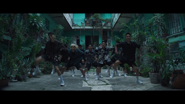 Video Reference: Plant, Entertainment, Performing arts, Leisure, Font, Tree, Event, Choreography, Fun, Midnight