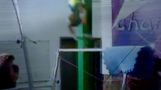 Video Reference: Pet supply, Grass, Glass, Event, Mesh, City, Transparent material, Urban design, Facade, Rectangle