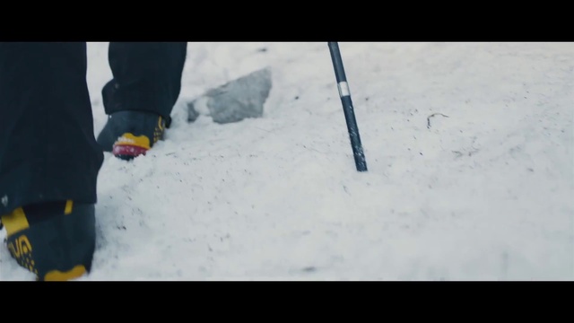 Video Reference: Snow, Automotive tire, Freezing, Recreation, Human leg, Snout, Event, Dog breed, Winter, Glass