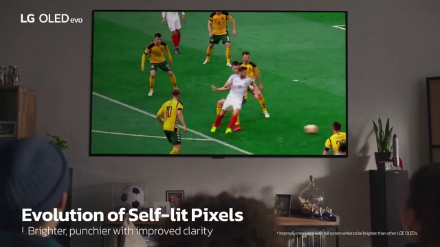 Video Reference: Sports equipment, Football, Jersey, Ball, Player, Plant, Sports uniform, Houseplant, Ball game, Soccer