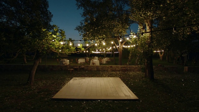 Video Reference: Plant, Sky, Road surface, Tree, Grass, Shade, Tints and shades, Security lighting, Landscape, Road