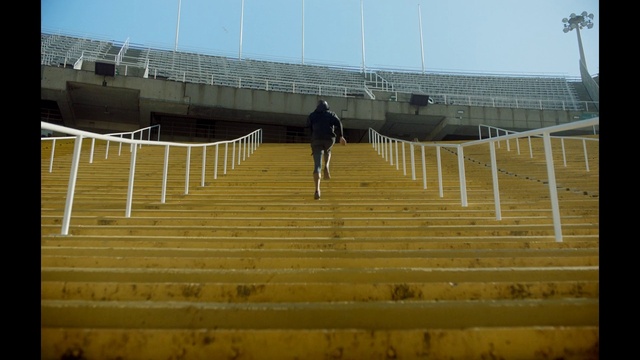 Video Reference: Sky, Wood, Line, Stairs, Horizon, Boardwalk, Landscape, Slope, Shade, Walkway