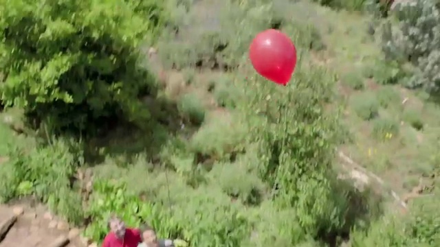Video Reference: Plant, Balloon, Grass, Natural landscape, Groundcover, Landscape, Shrub, Event, Tree, Leisure