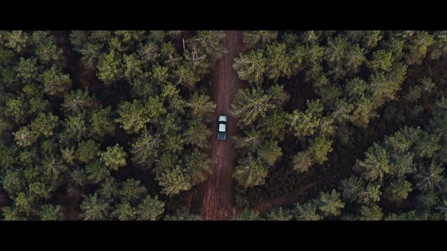 Video Reference: Plant, Natural landscape, Terrestrial plant, Wood, Trunk, Twig, Tints and shades, Font, Landscape, Tree