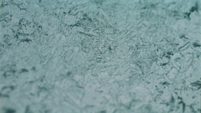 Video Reference: Azure, Aqua, Water, Freezing, Pattern, Electric blue, Grass, Frost, Snow, Winter