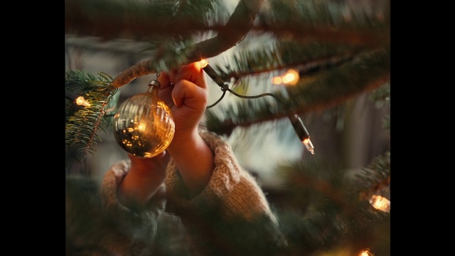 Video Reference: Organism, Plant, Automotive lighting, Eyelash, Twig, Heat, Christmas ornament, Darkness, Glass, Event