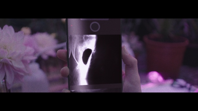 Video Reference: Purple, Violet, Flash photography, Font, Gas, Petal, Magenta, Electric blue, Darkness, Event