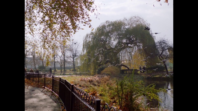 Video Reference: Sky, Plant, Cloud, Natural landscape, Fence, Tree, Wood, Grass, Bank, Twig