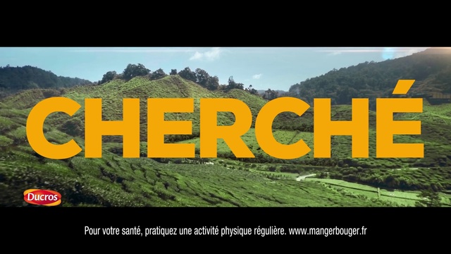 Video Reference: Mountain, Plant, Natural landscape, Cloud, Sky, Highland, Vegetation, Tree, Biome, People in nature