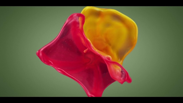 Video Reference: Flower, Plant, Petal, Flowering plant, Terrestrial plant, Magenta, Carmine, Macro photography, Art, Pedicel