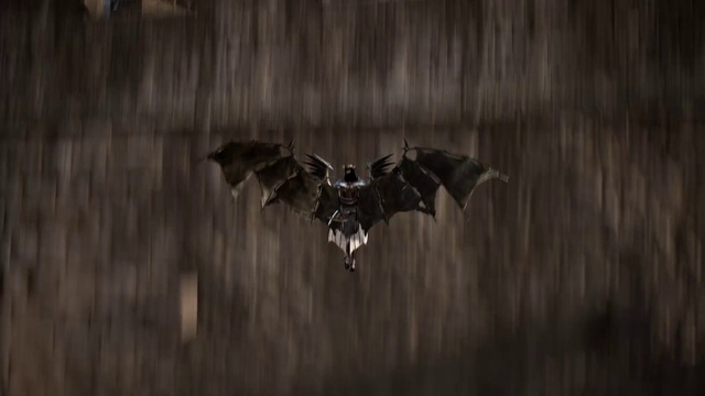 Video Reference: Bird, Bat, Grey, Wood, Wing, Monochrome, Darkness, Monochrome photography, Symmetry, Terrestrial animal