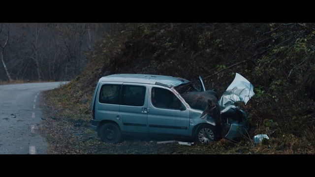 Video Reference: Car, Tire, Vehicle, Automotive tire, Plant, Window, Wheel, Motor vehicle, Alloy wheel, Automotive design