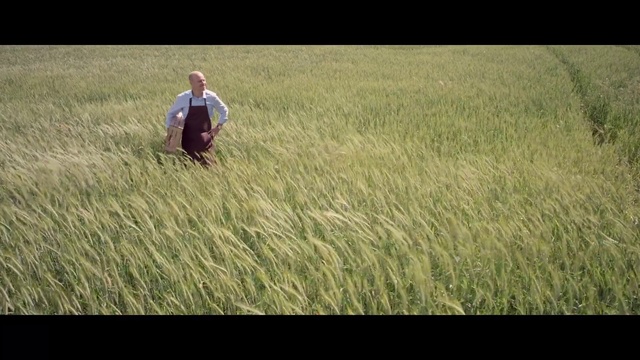 Video Reference: Ecoregion, Plant, People in nature, Farmer, Agriculture, Grass, Grassland, Plain, Meadow, Grass family