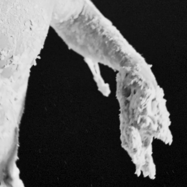 Video Reference: Freezing, Sleeve, Snow, Event, Fashion accessory, Winter, Transparent material, Icicle, Macro photography, Art