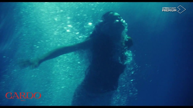 Video Reference: Water, Vertebrate, Azure, Fluid, Organism, Aqua, Underwater, Electric blue, Marine biology, Liquid