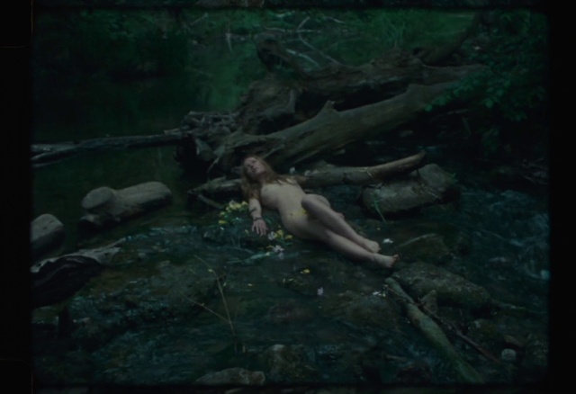 Video Reference: Art, Underwater, Terrestrial plant, Grass, Wood, Marine biology, Cg artwork, Recreation, Forest, Darkness