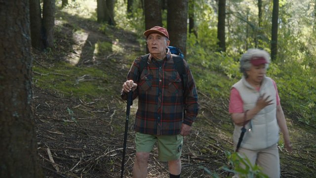 Video Reference: hiking, forest, trail, trees, elderly, outdoors, backpack, trekking pole, nature, walking, sunlight, woodland, couple