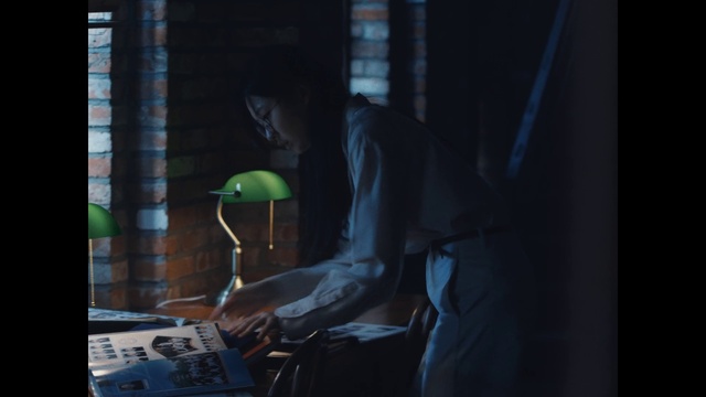 Video Reference: Musician, Musical keyboard, Audio equipment, Music, Entertainment, Flash photography, Event, Darkness, Electronic instrument, Performing arts