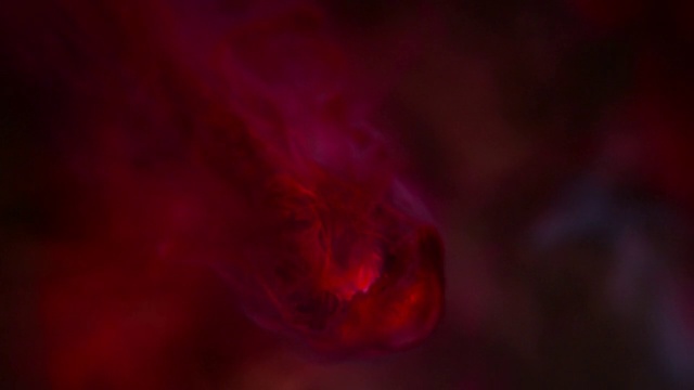 Video Reference: Water, Petal, Sky, Automotive lighting, Cloud, Gas, Plant, Magenta, Event, Electric blue