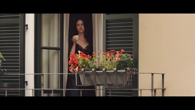 Video Reference: Flower, Plant, Window, Petal, Flash photography, Flower Arranging, Magenta, Event, Rectangle, Annual plant