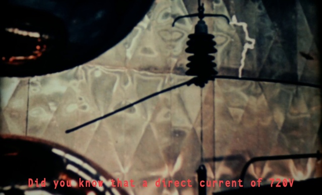 Video Reference: Automotive tire, Organism, Tints and shades, Glass, Rim, Circle, Auto part, Pattern, Event, Font