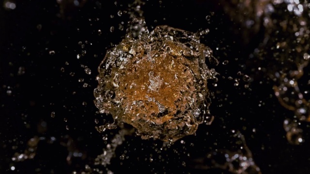 Video Reference: Water, Liquid, Fluid, Cuisine, Ingredient, Moisture, Liquid bubble, Dew, Road surface, Dish