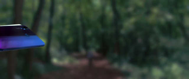 Video Reference: Terrestrial plant, Wood, Tints and shades, Trunk, Lamp, Grass, Natural landscape, Automotive lighting, Forest, Landscape