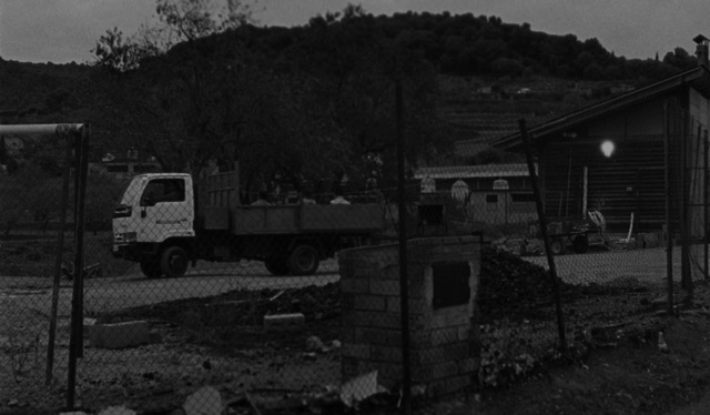 Video Reference: Tire, Wheel, Automotive tire, Vehicle, Sky, Motor vehicle, Black-and-white, Style, Tree, Plant