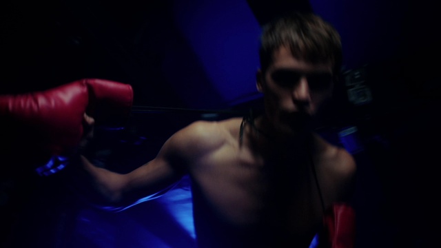 Video Reference: Muscle, Blue, Flash photography, Musician, Purple, Gesture, Music, Entertainment, Performing arts, Music artist