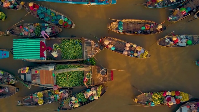 Video Reference: Textile, Organism, Interior design, Art, Wall, Urban design, Automotive design, Food, Fun, Shelf