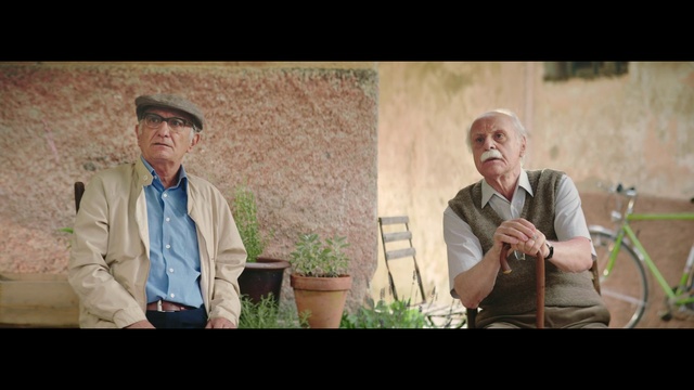 Video Reference: Facial expression, Plant, Natural environment, Flash photography, Organism, Gesture, Interaction, Fun, Happy, Formal wear