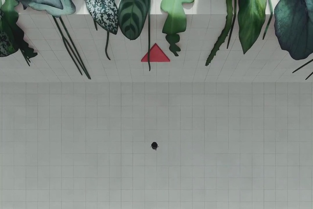Video Reference: Plant, Art, Font, Line, Wall, Paint, Pattern, Visual arts, Carmine, Tree