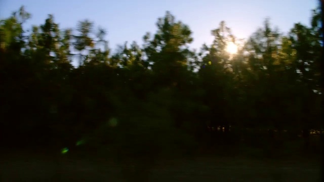 Video Reference: Sky, Automotive lighting, Natural landscape, Tree, Grass, Tints and shades, Landscape, Forest, Horizon, Grassland